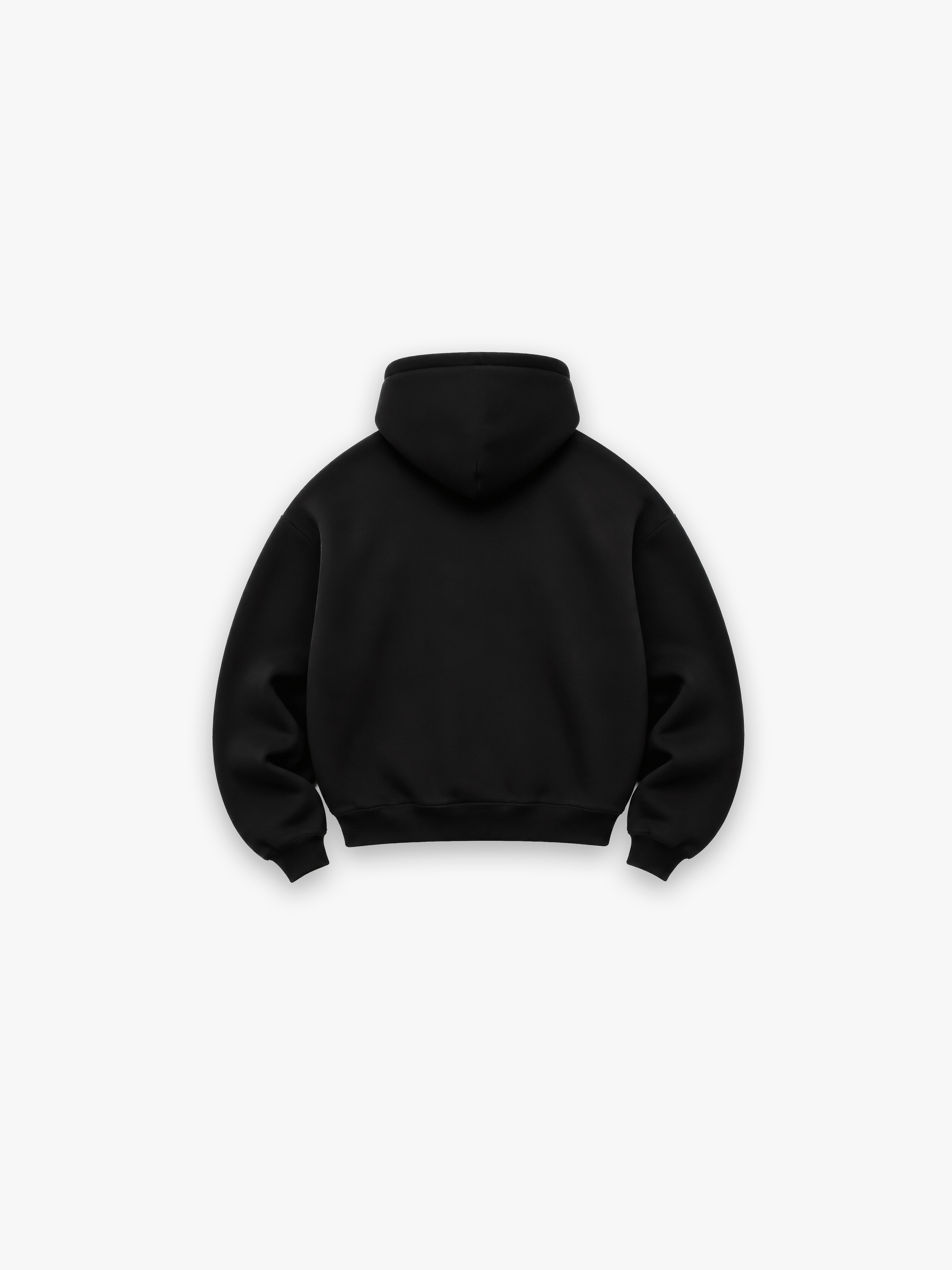 HCX 2026 match: Essential Heavyweight Fleece Hoodie - heavyweight hoodie back